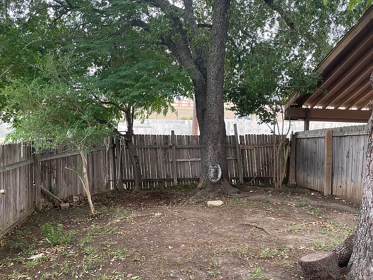 Backyard