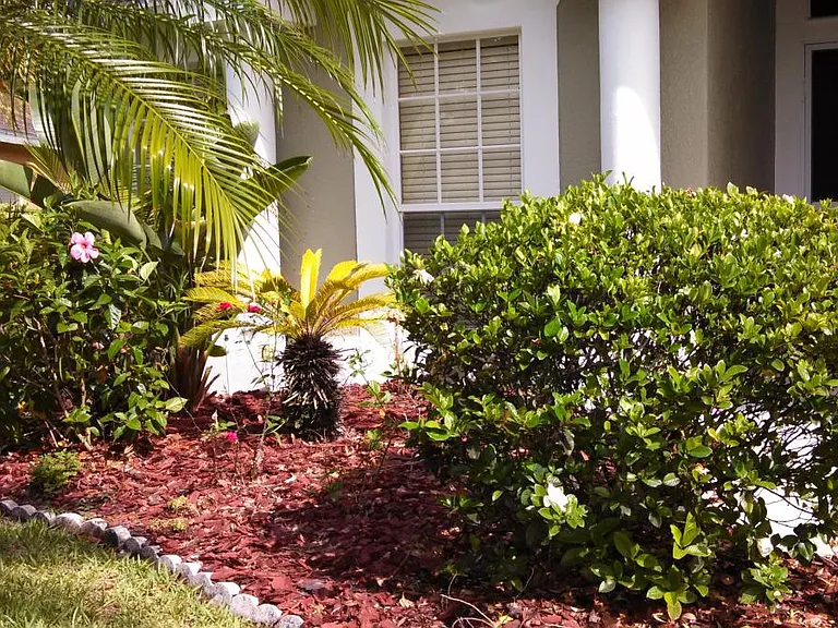 5508 Dark Star Loop — Photo 4