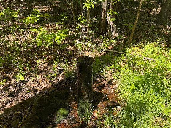 3rd image of 14 Deep Hollow Trl