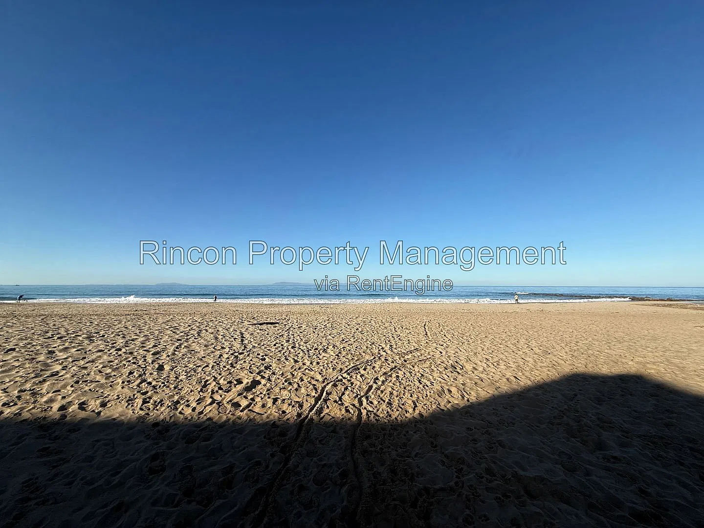 1 bed, 1.0 bath, 700 sqft, $2,450 — Photo 2