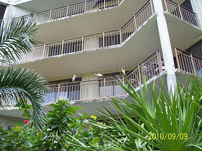 3rd image of 1800 Atlantic Blvd APT 219C