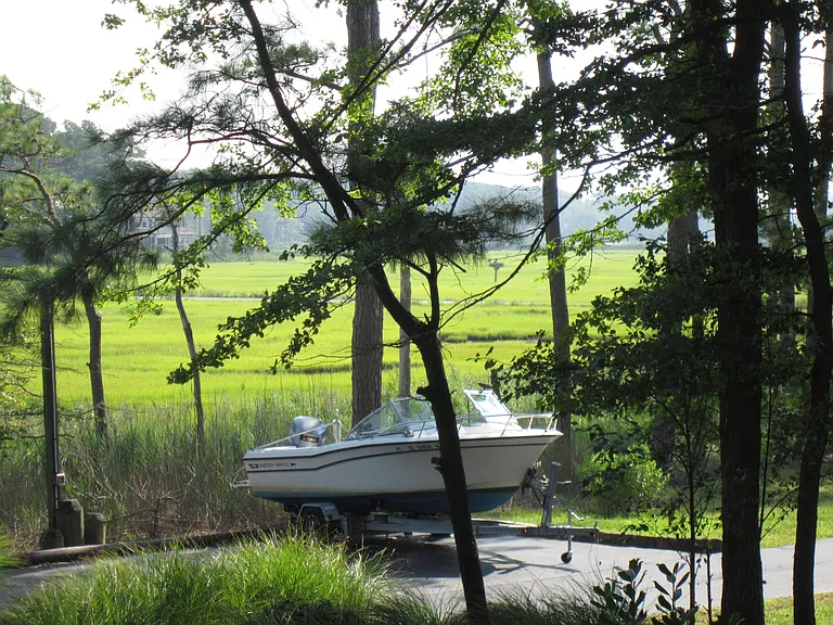 More of the Surrounding Wetlands