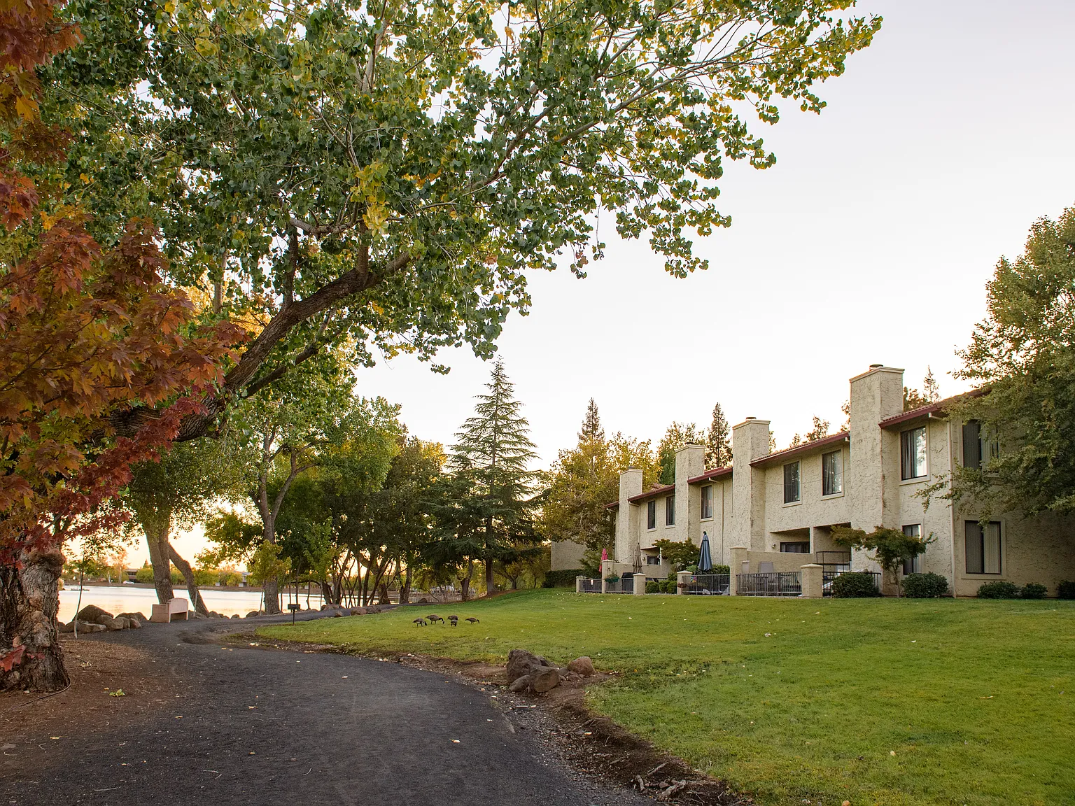 Lakeview Apartments — Photo 1