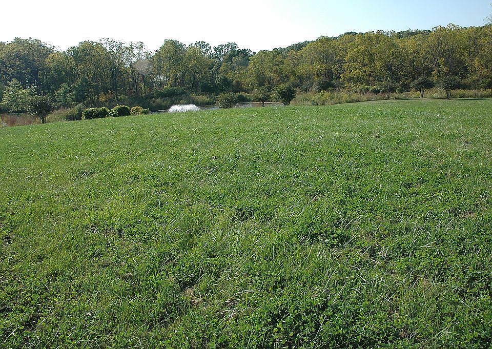 1st image of 14864 W Concord Ct
