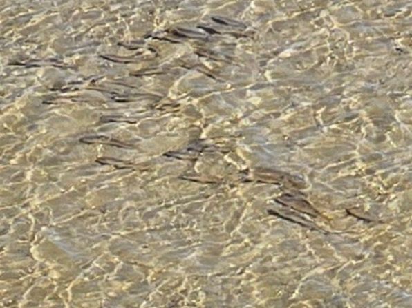 6504 Bridge Water Way UNIT 503