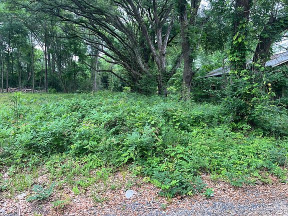 2nd image of 163 & 141A Pelt Rd