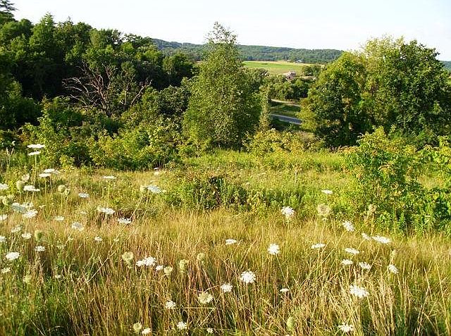 1st image of LOT 15 Honeycut Ave