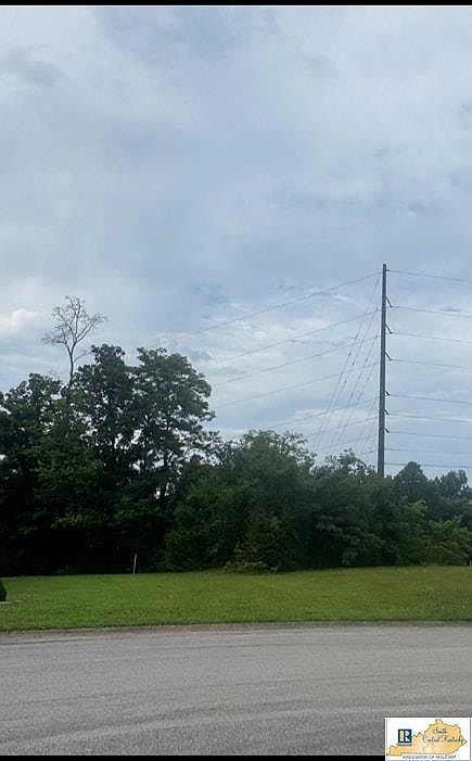 1st image of 219 Ashkirk Ln