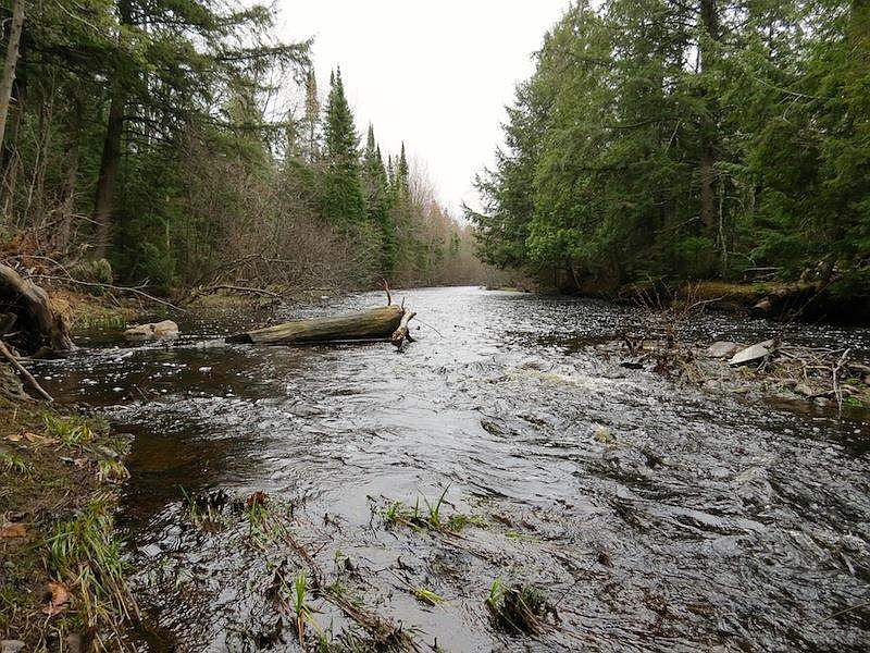 Laughing Whitefish River