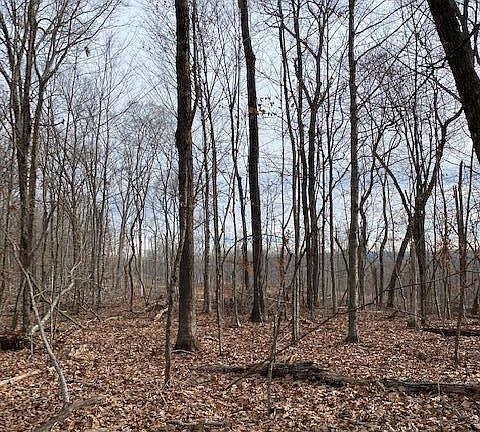 5th image of TRACT 6 River Rd
