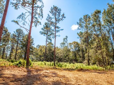 535 Rabbit Pen Drive, Appling, GA, 30802