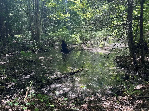 0 23rd Ave S Lot 11, Blossvale, NY 13308