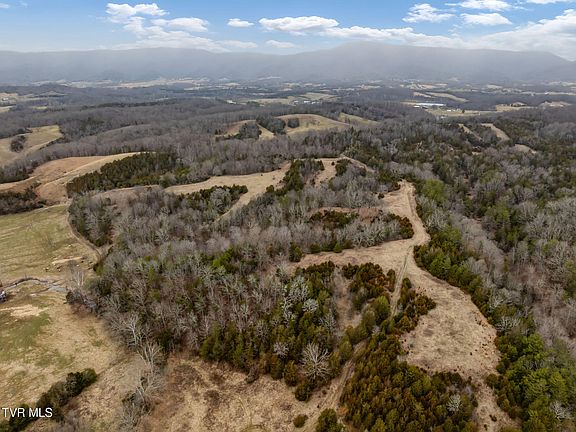 4th image of Smithtown Rd