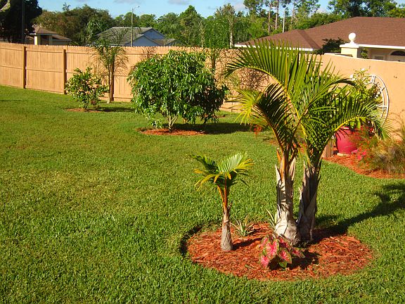 Fully fenced back yard