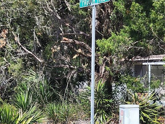 5th image of 6301 & 6289 N Pagoda Tree Ter