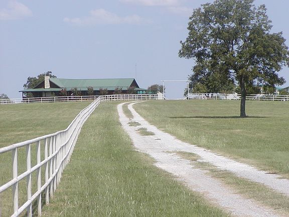 Driveway to Home