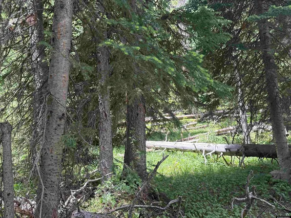 TRACT 45 Overlook Retreat, Elk Mountain, WY 82324