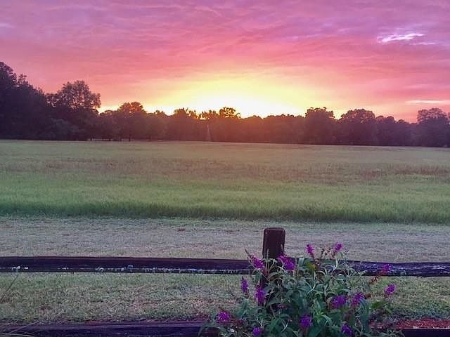 52nd image of 4424 Ansley Rd