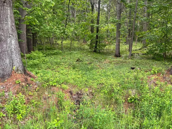 2447 NY-28, Johnsburg, NY 12886