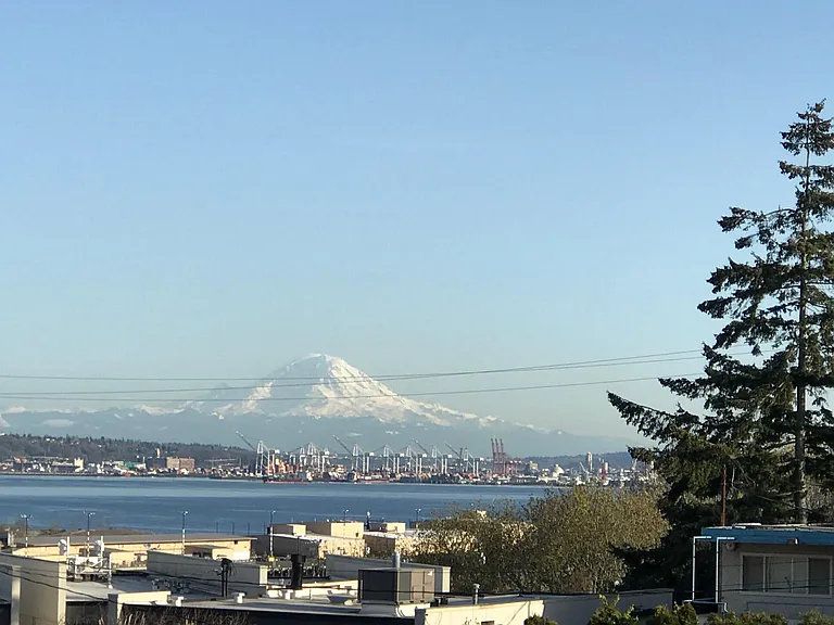 View of Mt. Rainier & the bay from the deck