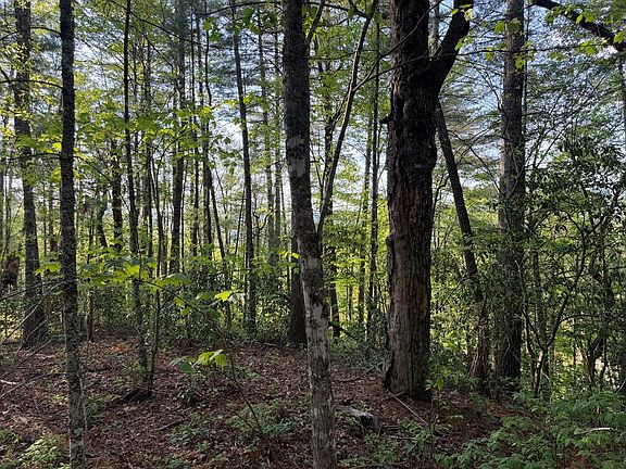 4th image of 0000 Howard Edwards Road