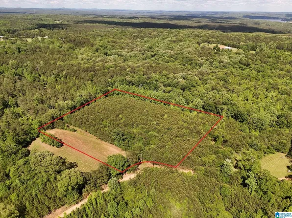 0 County Road 788 #0, Clanton, AL 35046