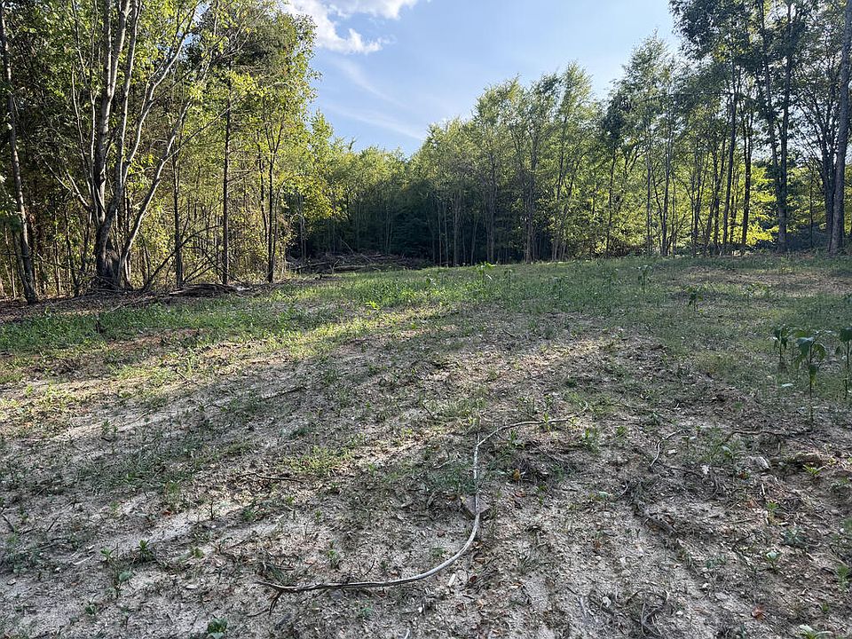 2nd image of 0 Oak Level Rd