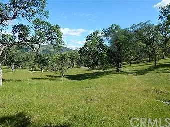 2236 Thunder Rd photo 1