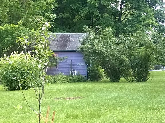 sothern view of yard & shed
