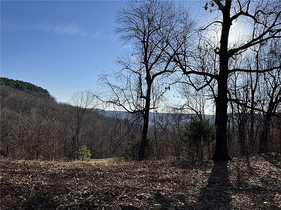 2nd image of Terrapin Rd