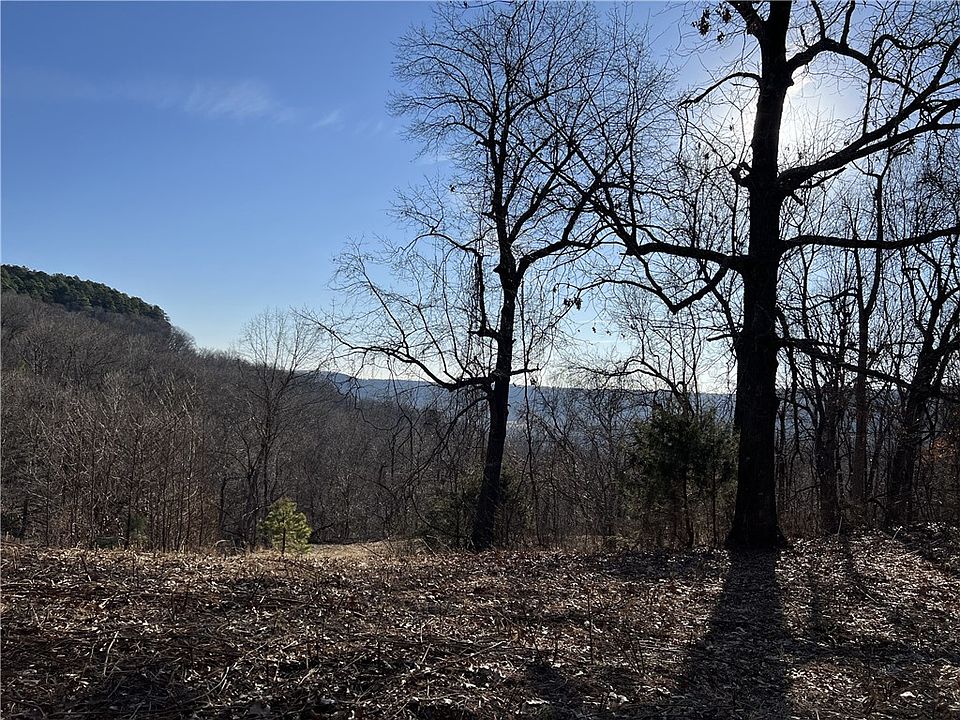 2nd image of Terrapin Rd