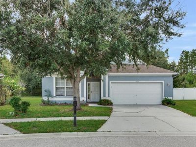 17433 Lawn Orchid Loop, Land O Lakes, FL, 34638