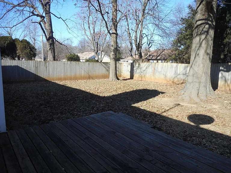 BACK YARD_01122018