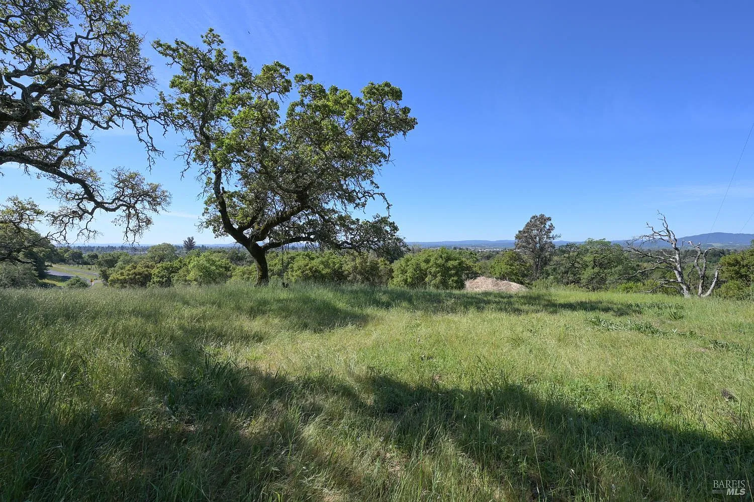 4525 Shiloh Ridge - Photo 4