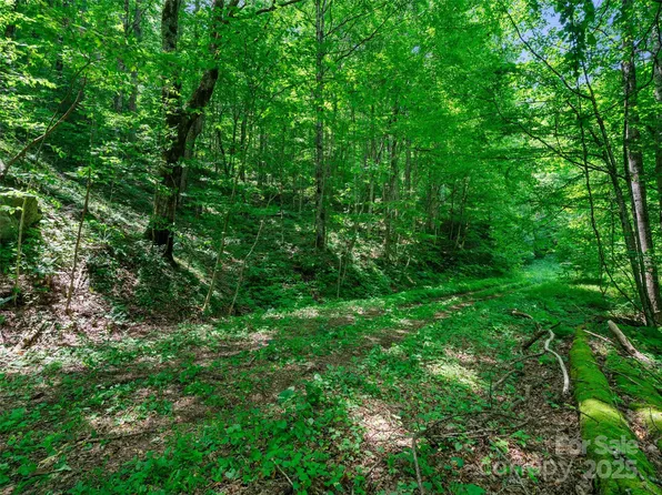 3 Lotties Creek Rd #37-42, Burnsville, NC 28714