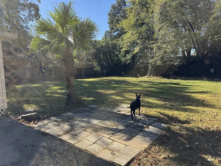 212 Hazelnut St — Photo 8
