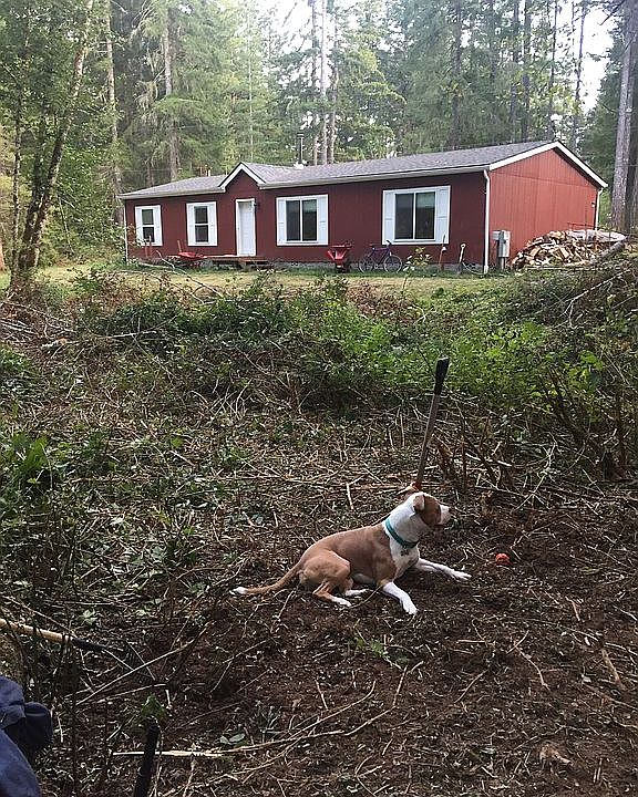 1st image of 1070 Stavis Drive West NW