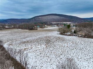 0 Conkrite Rd, Cayuta, NY 14824