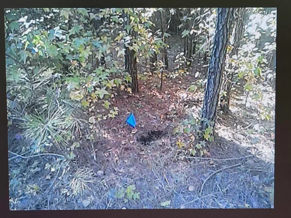 463 Freeze Mountain Dr #Na, Odenville, AL 35120