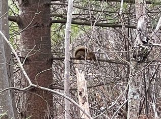 Keenan Rd, Brasher Falls, NY 13613