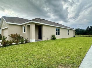 33593 Apricot Tree Ct, Wesley Chapel, FL 33543