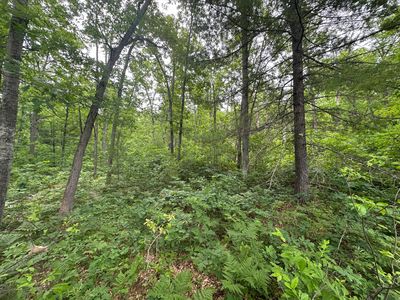 Skyline Rd, Grayling, MI, 49738