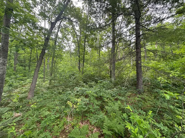 Skyline Rd, Grayling, MI 49738