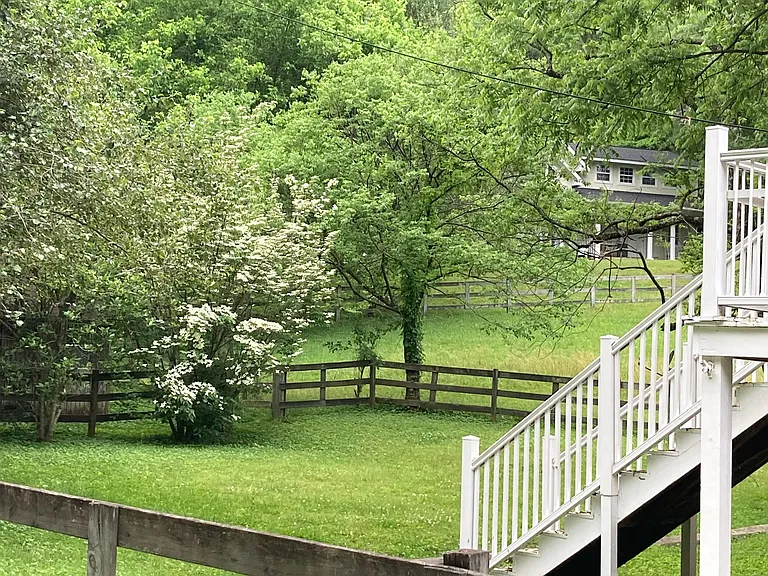 Dogwood Hills Rd — Photo 10
