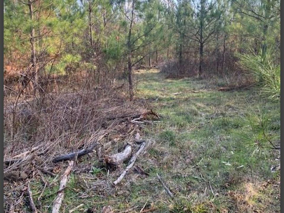 2nd image of 44 Hidden Pines Loop