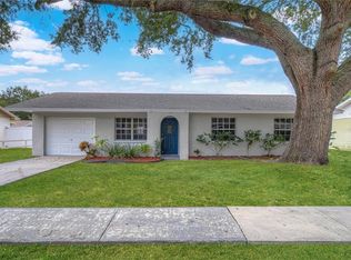 1215 Sagamore Dr, Seffner, FL 33584