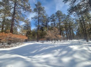 R 19s R 19n Serenity, Chama, NM 87520