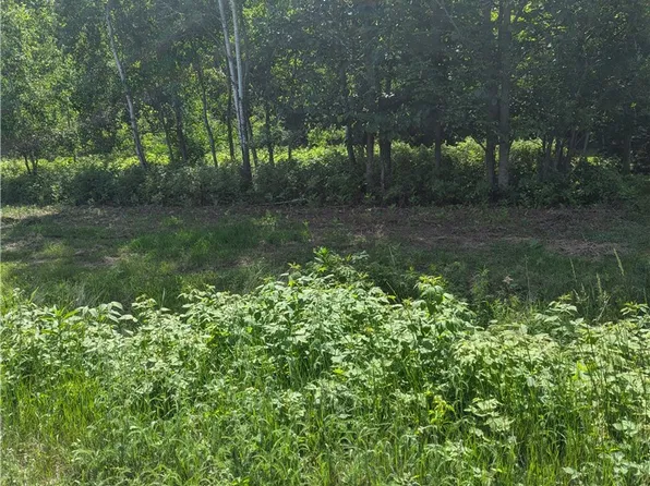 Lot 3 CSM #2055 361st Street, Stanley, WI 54768
