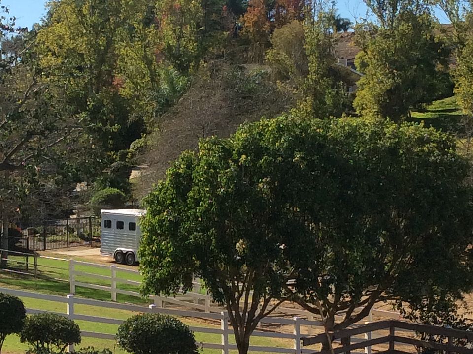 Looking S from house 