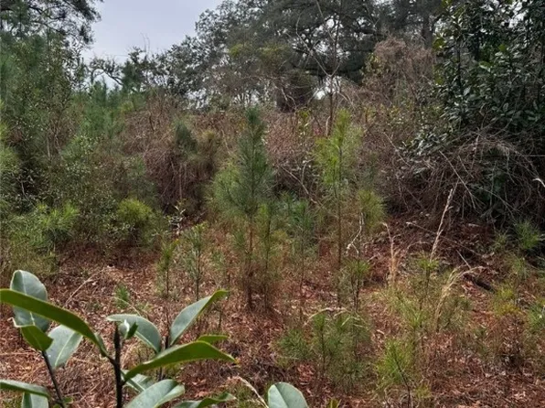 4 Acres E Oglethorpe Highway, Midway, GA 31320